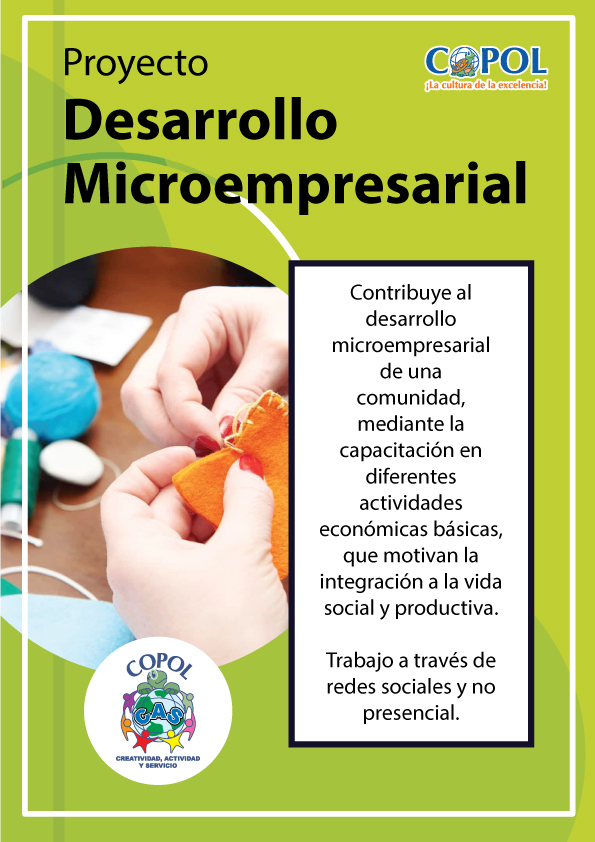Desarrollo Microempresarial